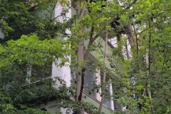 IMG_20250706_200810