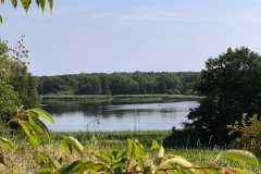 IMG_20250720_105458