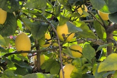 IMG_20260323_142230