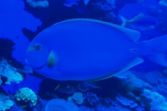 IMG_20260329_114839
