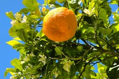 IMG_20260330_123245