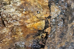 IMG_20240227_155432