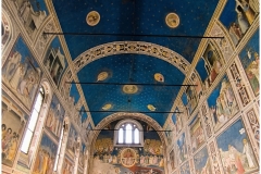 IMG_20250824_153953