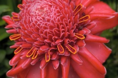 IMG_20250728_143052