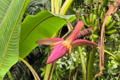IMG_20250728_143404