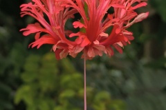 IMG_20250728_143635