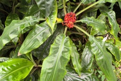 IMG_20250728_143815