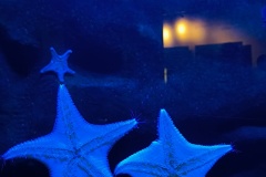 IMG_20260706_123905